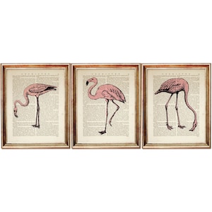 Set of 3 Prints, Pink Flamingo Art Print, Pink Flamingo Poster, Pink Flamingo Print Set of 3, Large Bird Wall Hanging