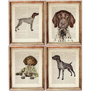 Set of 4 Prints, German Shorthaired Pointer Dictionary Art Prints, GSP Artwork Poster, Dog Book Page, Animal Portrait Decor