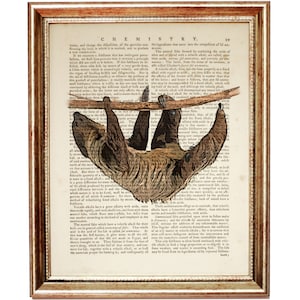 Stampa artistica del dizionario del bradipo, poster di animali della giungla, pagina di libro antico di animali, decorazione murale di scimmie, opera d'arte di animali per la cameretta dei bambini