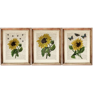 Set of 3 Sunflower Dictionary Art Prints - Floral Wall Decor - Yellow Flower Art - Nature Inspired Home Decor - Sunflower