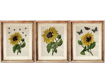 Set of 3 Prints, Sunflower Dictionary Art Print, Floral Wall Decor, Yellow Flower Artwork, Sunflower Poster