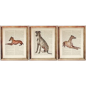 Set of 3 Prints, Greyhound Dog Art Prints Set of 3, Dictionary Art Prints for Dog Lovers, Greyhound Wall Decor, Pet Dictionary Pages