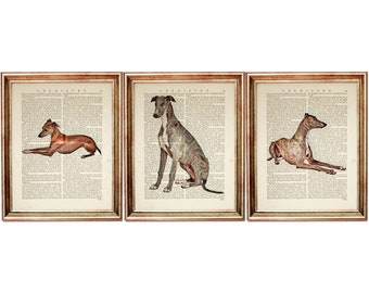 Juego de 3 láminas de galgos, láminas de diccionario para amantes de los perros, decoración de pared de galgos, páginas de diccionario de mascotas
