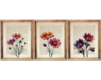 Juego de 3 láminas artísticas de flores silvestres, decoración botánica de pared, impresiones de páginas de diccionario de flores, juego de galería floral de pared, pósteres de flores vintage