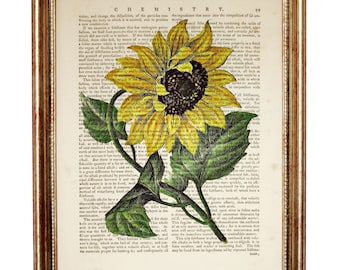 Sunflower Print, Flower Dictionary Book Page, Botanical Wall Art