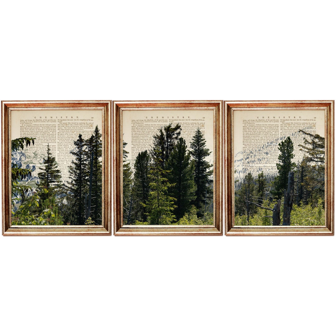 Set of 3 Prints, Forest Mountain Prints, Forest Mountain Wall Art ...