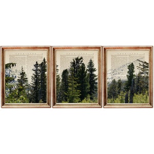 3er-Set Prints, Forest Berg Prints, Forest Mountain Wandkunst, Wald Lexikon Kunstdruck, Wald Wand Kunst Poster