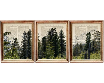 Set of 3 Prints, Forest Mountain Prints, Forest Mountain Wall Art, Forest Dictionary Art Print, Forest Wall Art Poster