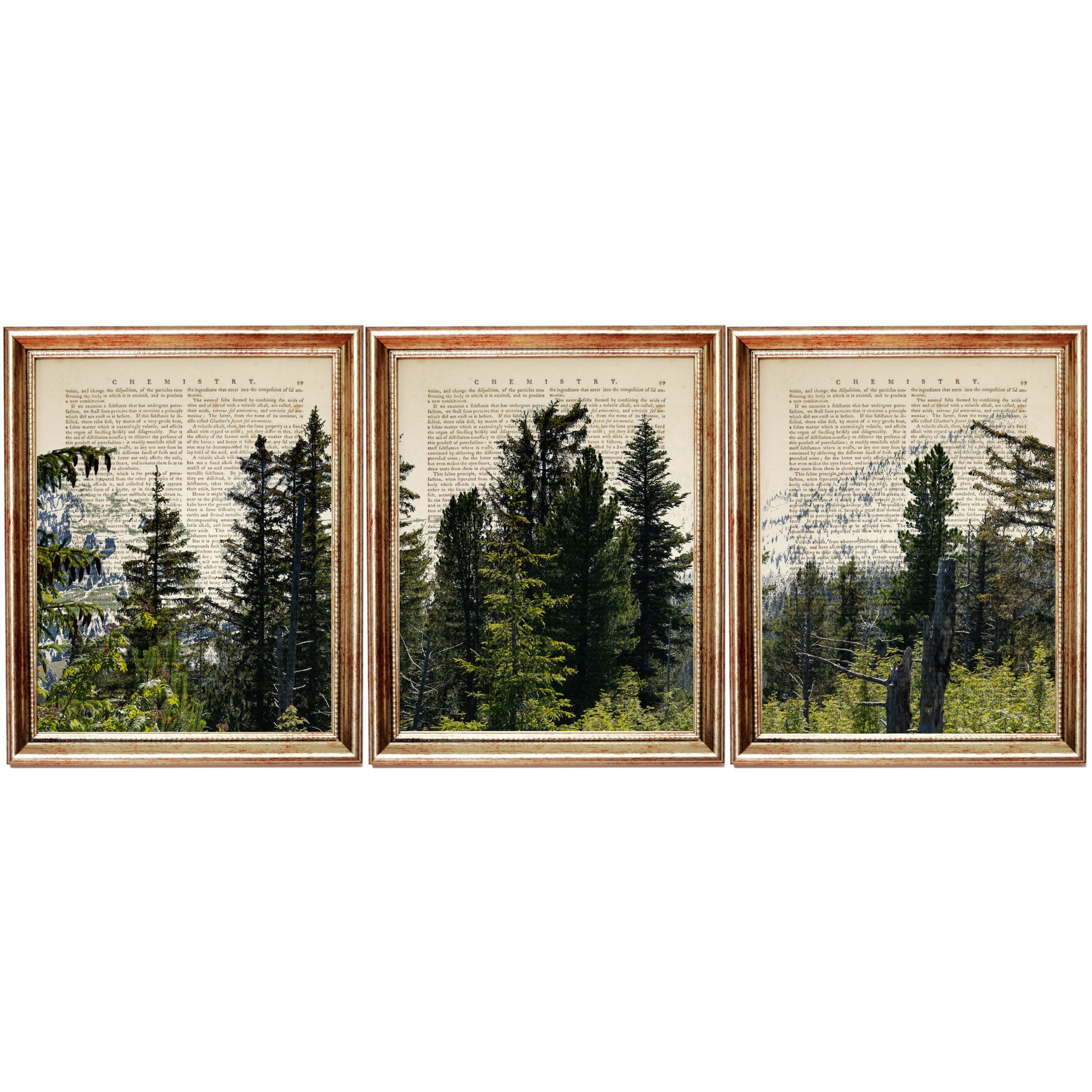 Conjunto de 3 impresiones, impresiones de montaña forestal, arte mural de montaña forestal, impresión artística de diccionario forestal, póster de arte mural forestal