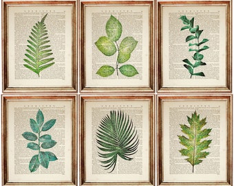 Set of 6 Prints, Botanical Prints Set 6, Botanical Wall Art Set of 6, Botanical Poster, Leaf Dictionary Art Print, Greenery