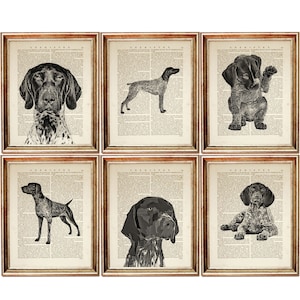 Deutscher Kurzhaariger Pointer Art Print, 6er Set Kunstdrucke, APS Kunstdruck, Hunde Wandbehang Dekor, Haustier Poster