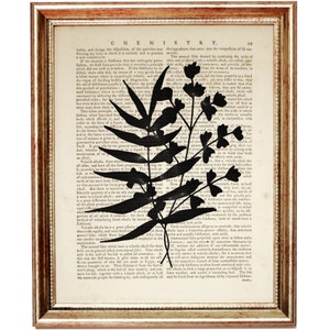 Op de afbeelding: Een ingelijst kunstwerk aan de muur met een zwart silhouet van een bebladerde plantenstengel met kleine bloemen, geplaatst over een vintage woordenboekpagina met de titel CHEMISTRY. De lijst is goudkleurig met een textuur.
