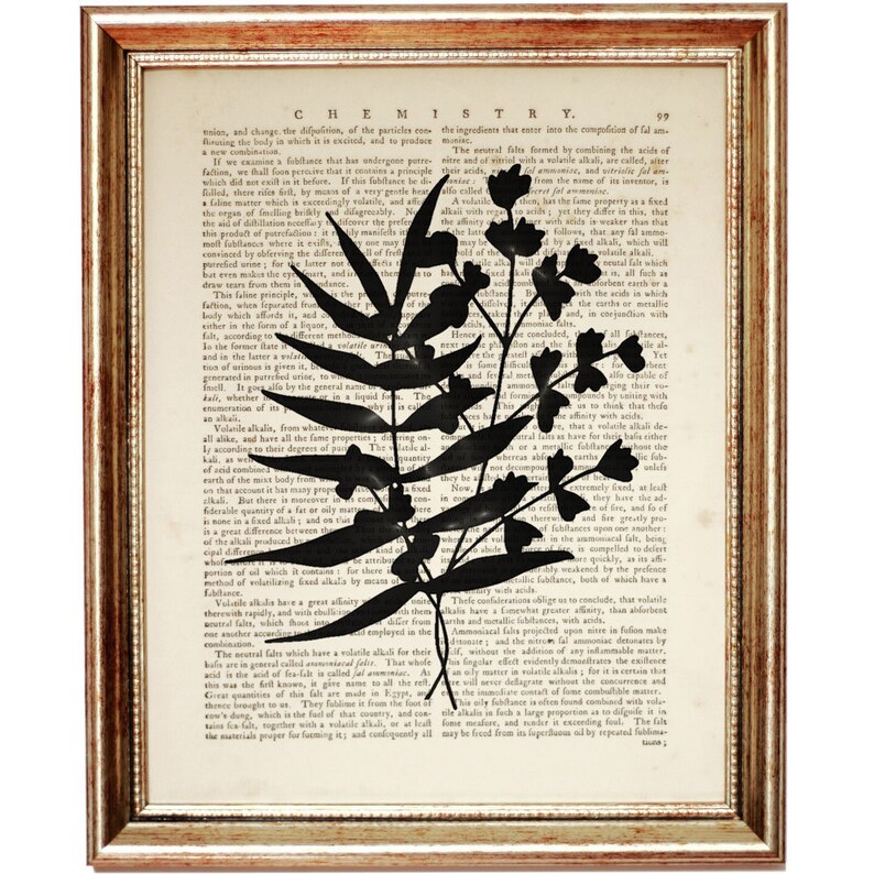 Op de afbeelding: Een ingelijst kunstwerk aan de muur met een zwart silhouet van een bebladerde plantenstengel met kleine bloemen, geplaatst over een vintage woordenboekpagina met de titel CHEMISTRY. De lijst is goudkleurig met een textuur.