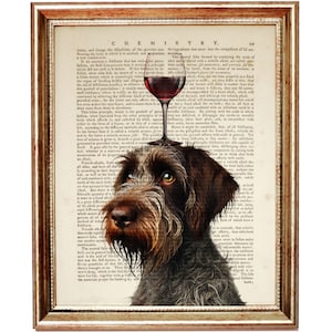 Könnte beinhalten: Ein brauner und weißer Deutsch Kurzhaar mit einem Glas Rotwein, das auf seinem Kopf balanciert. Der Hund schaut nach links aus dem Bild. Der Hintergrund ist eine alte Buchseite mit Text über Chemie.