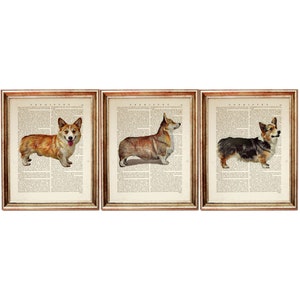 Set of 3 Art Prints, Pembroke Welsh Corgi Wall Art, Corgi Wall Art, Dog Dictionary Art Print Set, Dog Nursery Poster Artwork