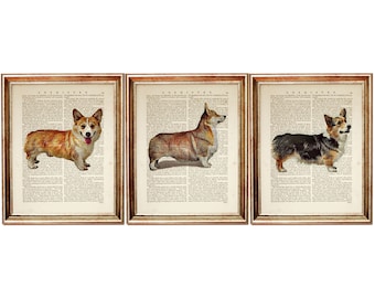 Set of 3 Art Prints, Pembroke Welsh Corgi Wall Art, Corgi Wall Art, Dog Dictionary Art Print Set, Dog Nursery Poster Artwork