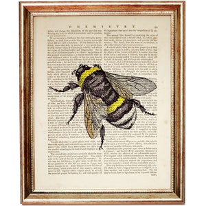 Honey Bee Poster