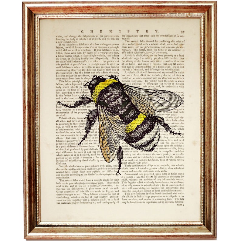 Honey Bee Poster