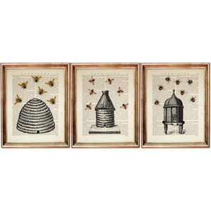 Set di 3 stampe, decorazione murale con alveare e api, pagine artistiche del dizionario dell'apiario, decorazione murale per gli amanti delle api, arredamento rustico in stile fattoria