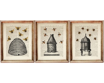 Set of 3 Bee Prints, Beehive Wall Decor, Beekeeping Dictionary Art Pages