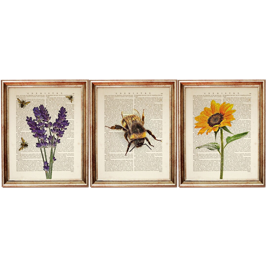Set of 3 Art Prints, Botanical Prints Set of 3, Flower With Bee