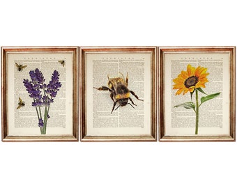 Set of 3 Botanical Dictionary Art Prints, Sunflower, Lavender, Bumblebee