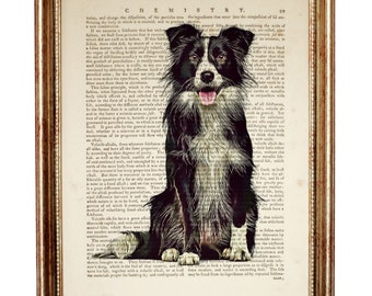 Bordercollie-kunstdruk, huisdierportret vintage woordenboekpagina, hondenliefhebber cadeau, dierenmuurdecoratie, hondposterkunstwerk