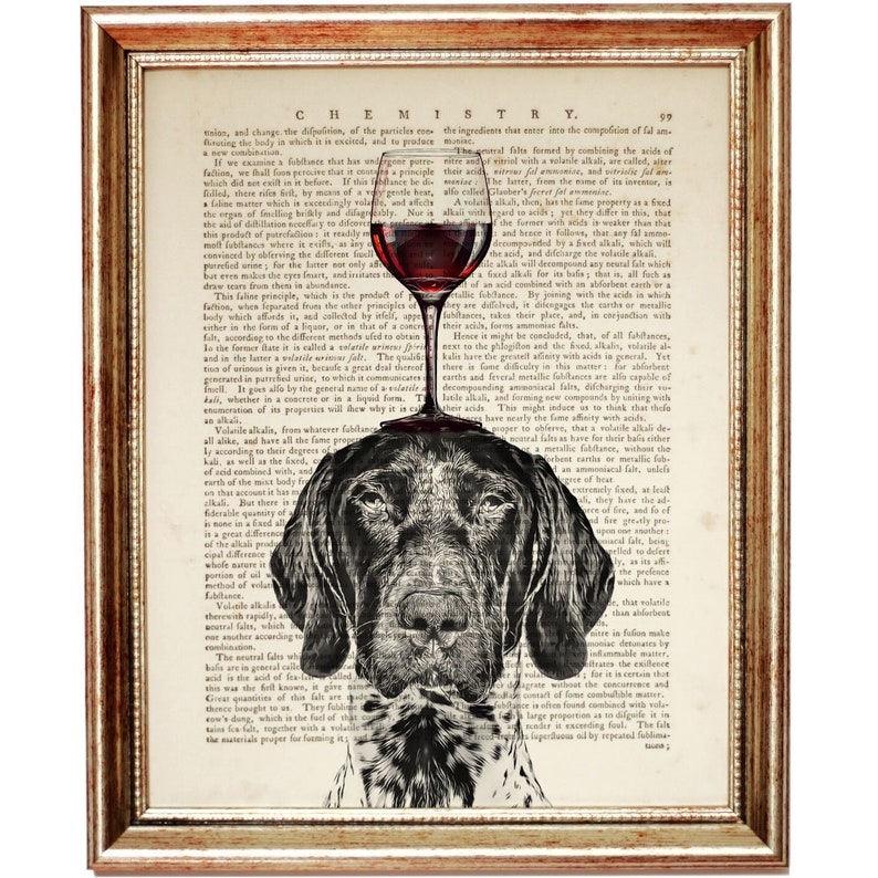 Pu&ograve; includere: Un'illustrazione in bianco e nero di un Bracco tedesco a pelo corto con un bicchiere di vino rosso in equilibrio sulla testa. L'immagine &egrave; sovrapposta a una pagina di un libro vintage con testo sulla chimica.