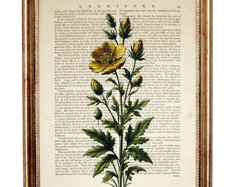 Yellow Flower Wall Art, Botanical Art Print, Wildflower Vintage Dictionary Page, Nature Lover's Wall Decor