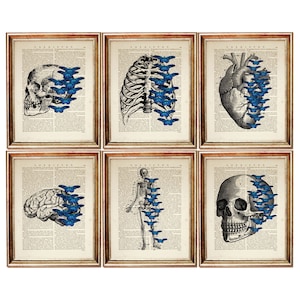 Regali di Natale, set di 6 stampe artistiche di anatomia con farfalle blu, dizionario anatomico surreale, collezione di poster di anatomia umana