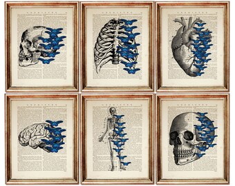 Set of 6 Anatomy Art Prints with Blue Butterflies, Vintage Dictionary Pages