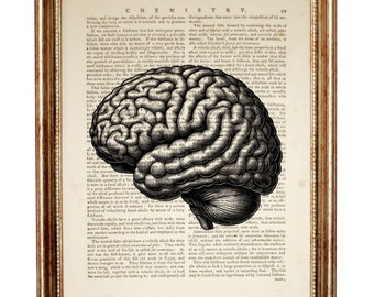 May include: A framed wall art print featuring a detailed black and white anatomical illustration of a human brain centered over a vintage page from a chemistry textbook with the heading CHEMISTRY and the page number 99 visible at the top.