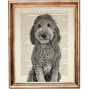 Stampa artistica del dizionario del cane Goldendoodle, decorazione da parete per cameretta del cane, poster del cane, pagina del libro Goldendoodle, arazzo da parete con cane