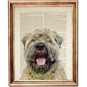 Hunde Portrait Kunstdruck, Soft Coated Wschnitten Terrier Vintage Wörterbuch Seite Wanddekoration, Haustier Portrait Buch Seite Kunstwerk