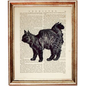 Lámina artística con diseño de gato negro y diccionario, decoración gótica de Halloween.