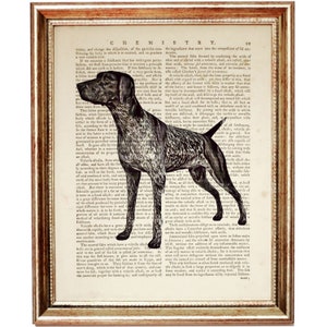 Deutscher Kurzhaarzeiger, GSP Print Poster, Hunde Wandbehang, Hundeposter, Hunde Poster, Hunde Kunstwerk, Kinderzimmerdeko
