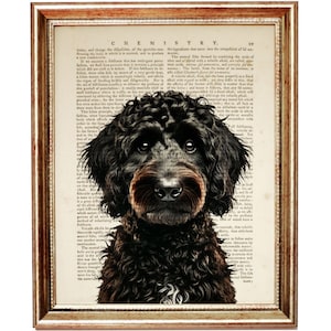 Black Golden Doodle Dictionary Art Print, Vintage Dog Wall Art, Pet Lover Gift, Dog Portrait Poster, Dog Wall Decor