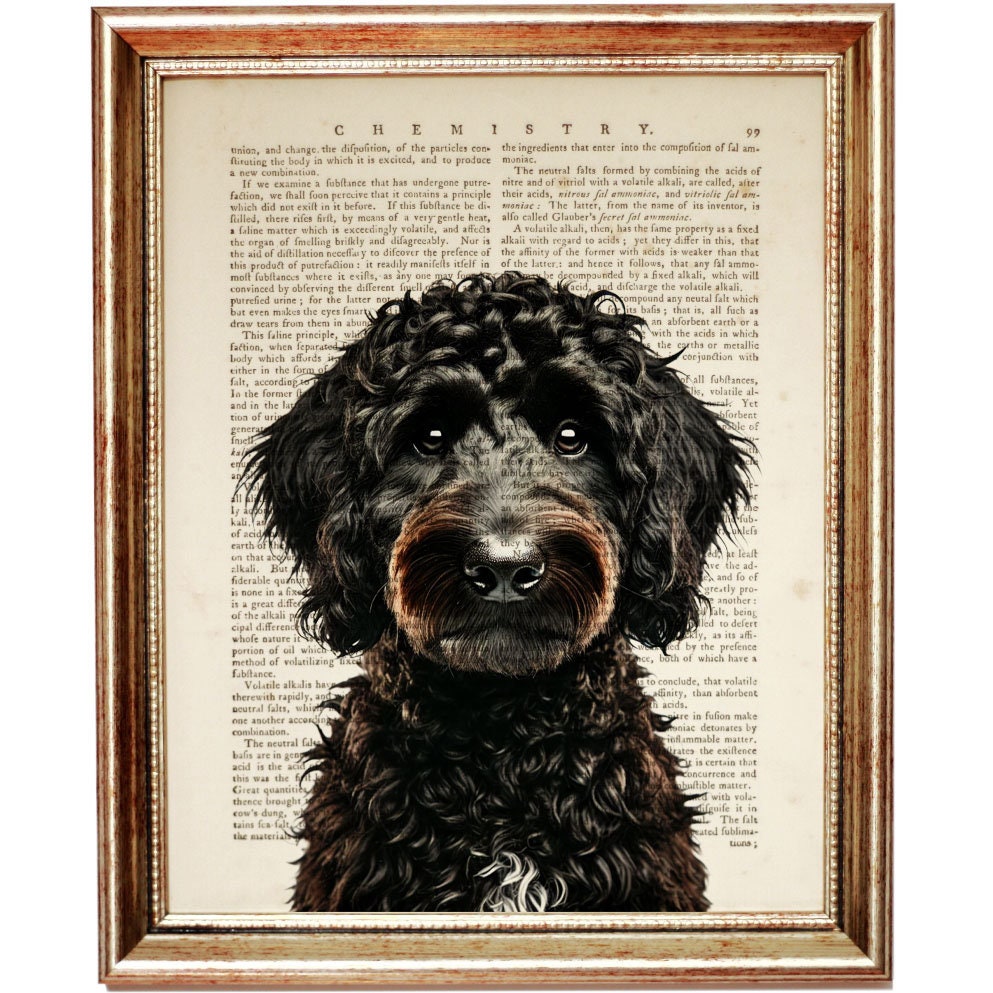 Black Golden Doodle Dictionary Art Print, Vintage Dog Wall Art, Pet Lover Gift, Dog Portrait Poster, Dog Wall Decor