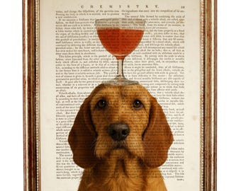 Stampa artistica del dizionario Basset Fauve De Bretagne, arte della parete della pagina del libro vintage del cane da cocktail