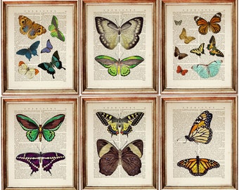 Set di 6 stampe di farfalle, pagine di dizionario vintage, decorazioni murali naturalistiche