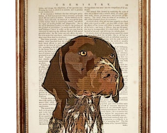 Stampa artistica del cane GSP, pagina del dizionario del Bracco tedesco a pelo corto, decorazione da parete