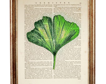 Ginkgo Leaf Wall Art, Botanical Print, Greenery Vintage Dictionary Book Page Art, Nature Wall Art, Eco Plant Home Decor