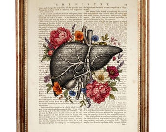 Lámina artística del diccionario del hígado humano, arte mural médico floral anatómico, decoración de póster de anatomía vintage