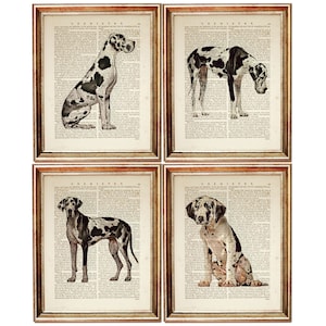 Set of 4 Prints, Great Dane Dog Dictionary Art Print Set, Dog Book Page Art, Great Dane Nursery Decor, Dog Home Print