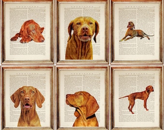 Set of 6 Prints, Vizsla Dog Art Prints, Pet Portrait Vintage Dictionary Page, Vizsla Wall Decor, Gift for Dog Lovers, Rustic Home Design