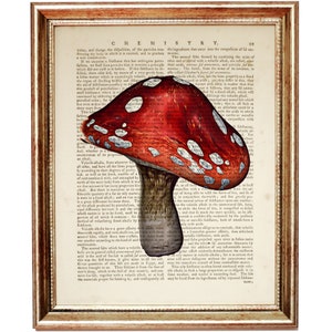 May include: A vintage illustration of a red and white mushroom with white spots on a page from an old book about chemistry. The text on the page reads "CHEMISTRY" and "Volatile salts, from whatever source they are derived, are all alike, and have all the same properties, if according to their degrees of purity."
