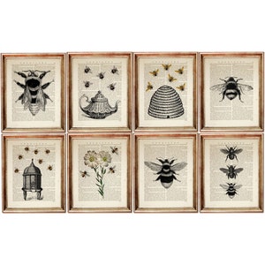 Set of 8 Prints, Bee Print Set, Bumble Bee Wall Art, Honey Bee Dictionary Art Print Set, Beehive Art, Flower with Bee Poster