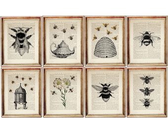 Set of 8 Prints, Bee Print Set, Bumble Bee Wall Art, Honey Bee Dictionary Art Print Set, Beehive Art, Flower with Bee Poster