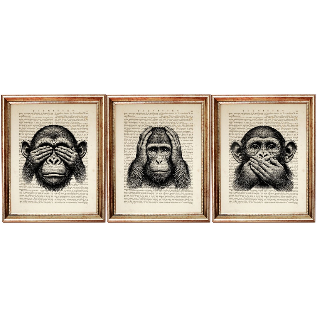 Christmas Gifts, Three Wise Monkeys Dictionary Art Print Set, See