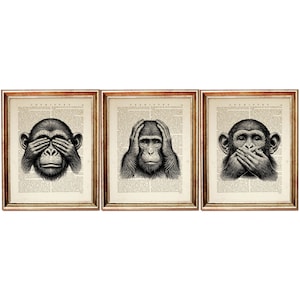 Weihnachtsgeschenke, Drei weise Affen Wörterbuch Kunstdruck Set, Nicht sehen, nicht hören, nicht sprechen, Sprichwort, Wisdom Poster